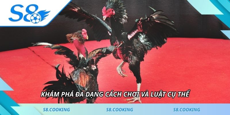 Khám phá đa dạng cách chơi và luật cụ thể