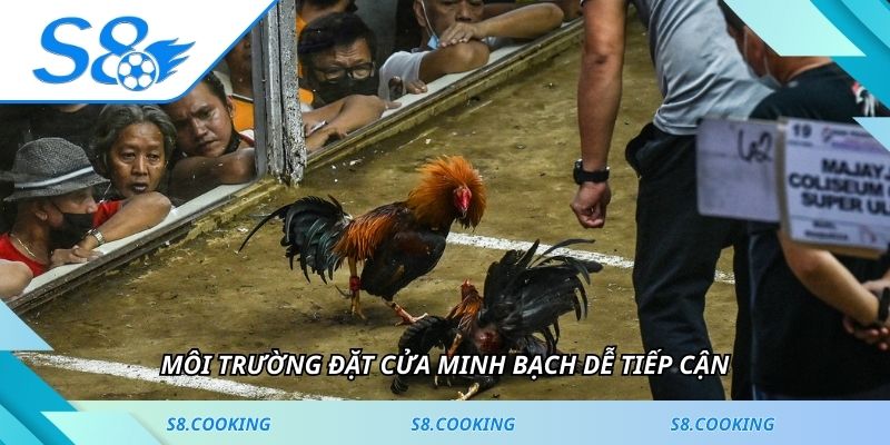 Môi trường đặt cửa minh bạch dễ tiếp cận