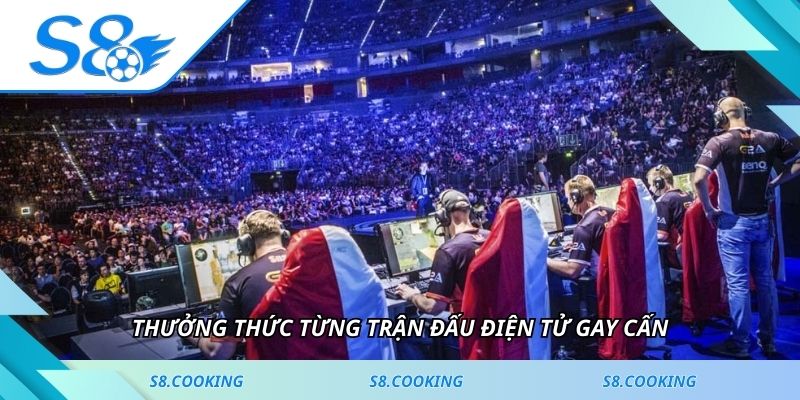 Thưởng thức từng trận đấu điện tử gay cấn